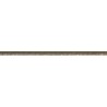 NEVIS 40