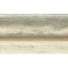 DELPHINE  40