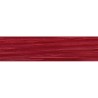 TULIPA 17