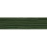 TULIPA 17