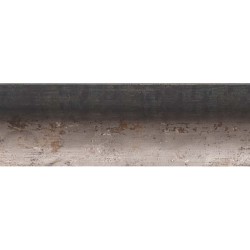 NEVIS 40 