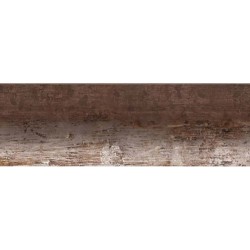 NEVIS 40 