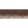 NEVIS 40