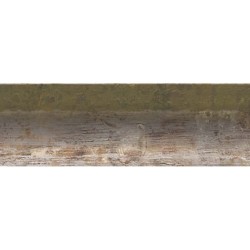 NEVIS 40 