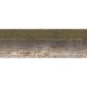 NEVIS 40