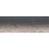 NEVIS 40